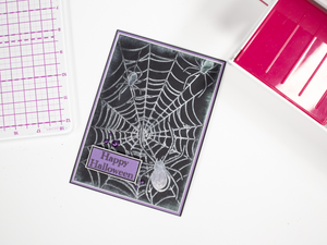 Crafter's Companion 5" x 7" Embossing Folder - Spider's Web