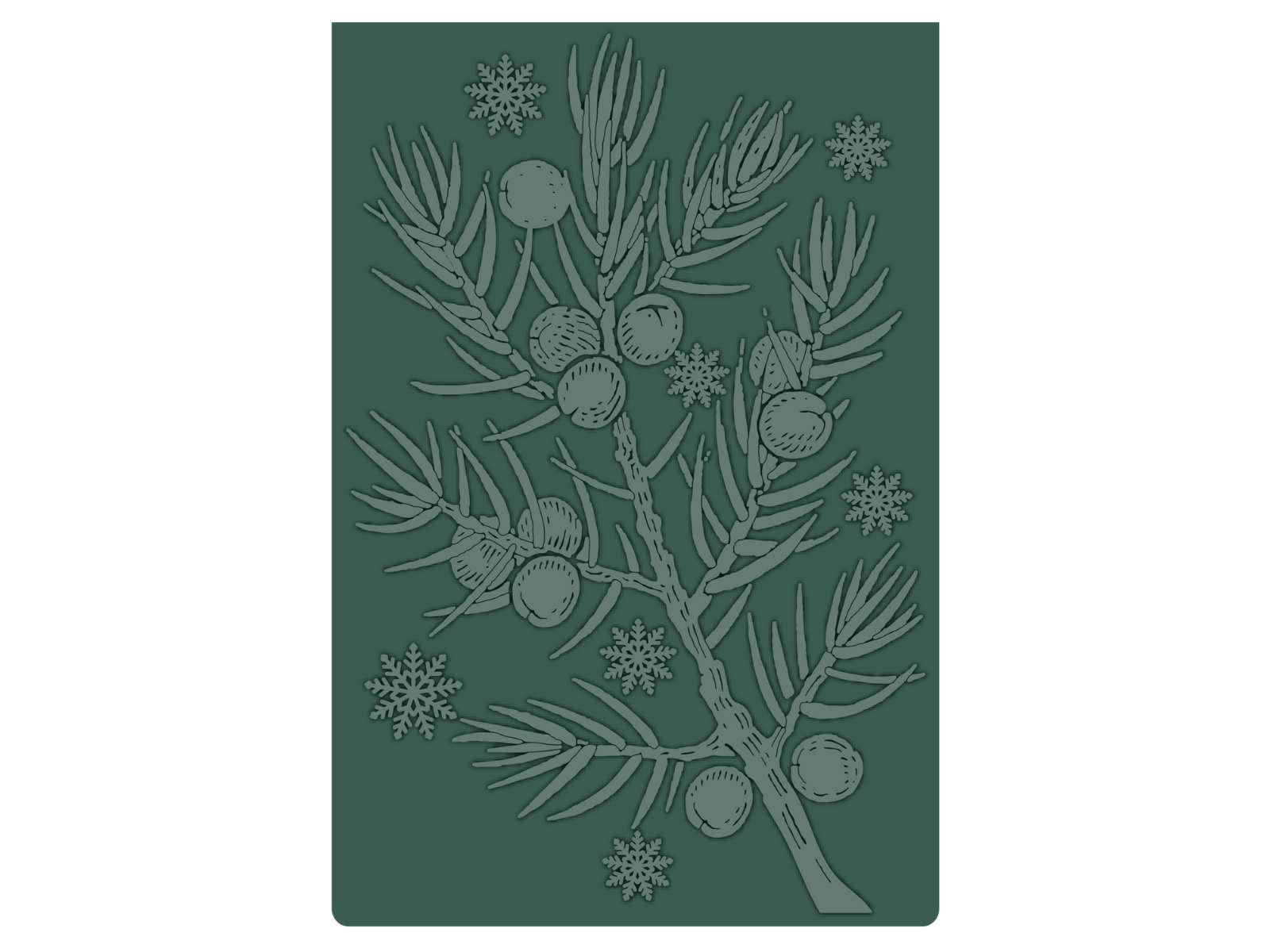 Crafter's Companion 6" x 4" Embossing Folder - Juniper Branch