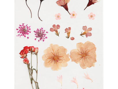 Creativ Pressed Flowers and Leaves - Light Rose