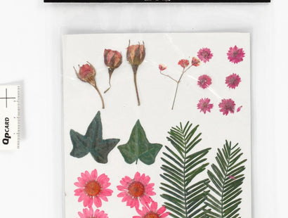 Creativ Pressed Flowers and Leaves - Light red