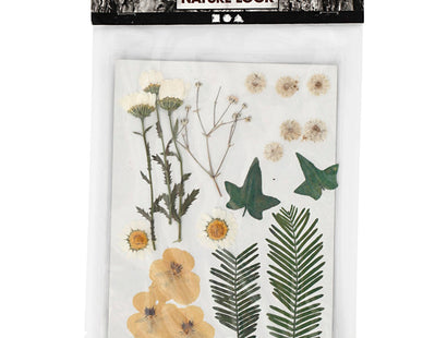 Creativ Pressed Flowers and Leaves - Off-White