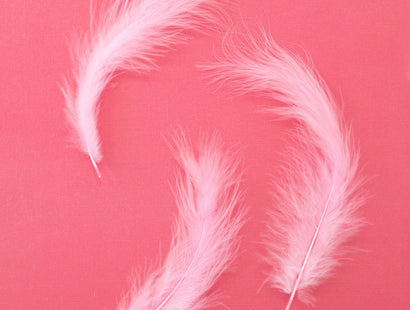 Flamazing Flamingos - Feathers (20PC)