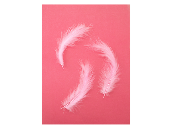 Flamazing Flamingos - Feathers (20PC)