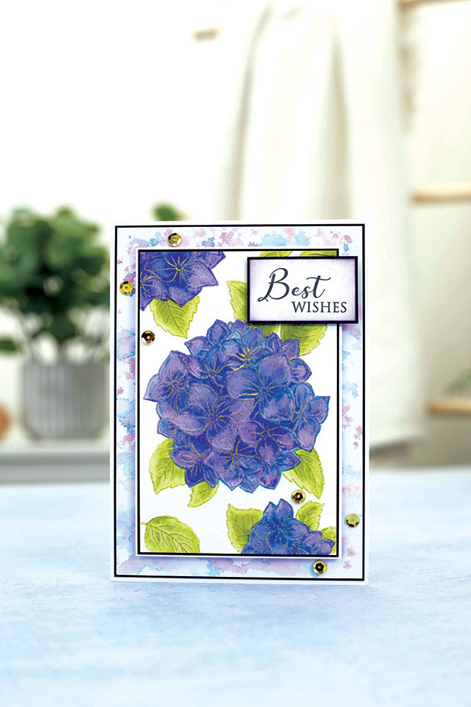 Gemini Illustrated Embossing Folder - Butterfly Hydrangea