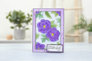 Gemini Illustrated Embossing Folder Collection