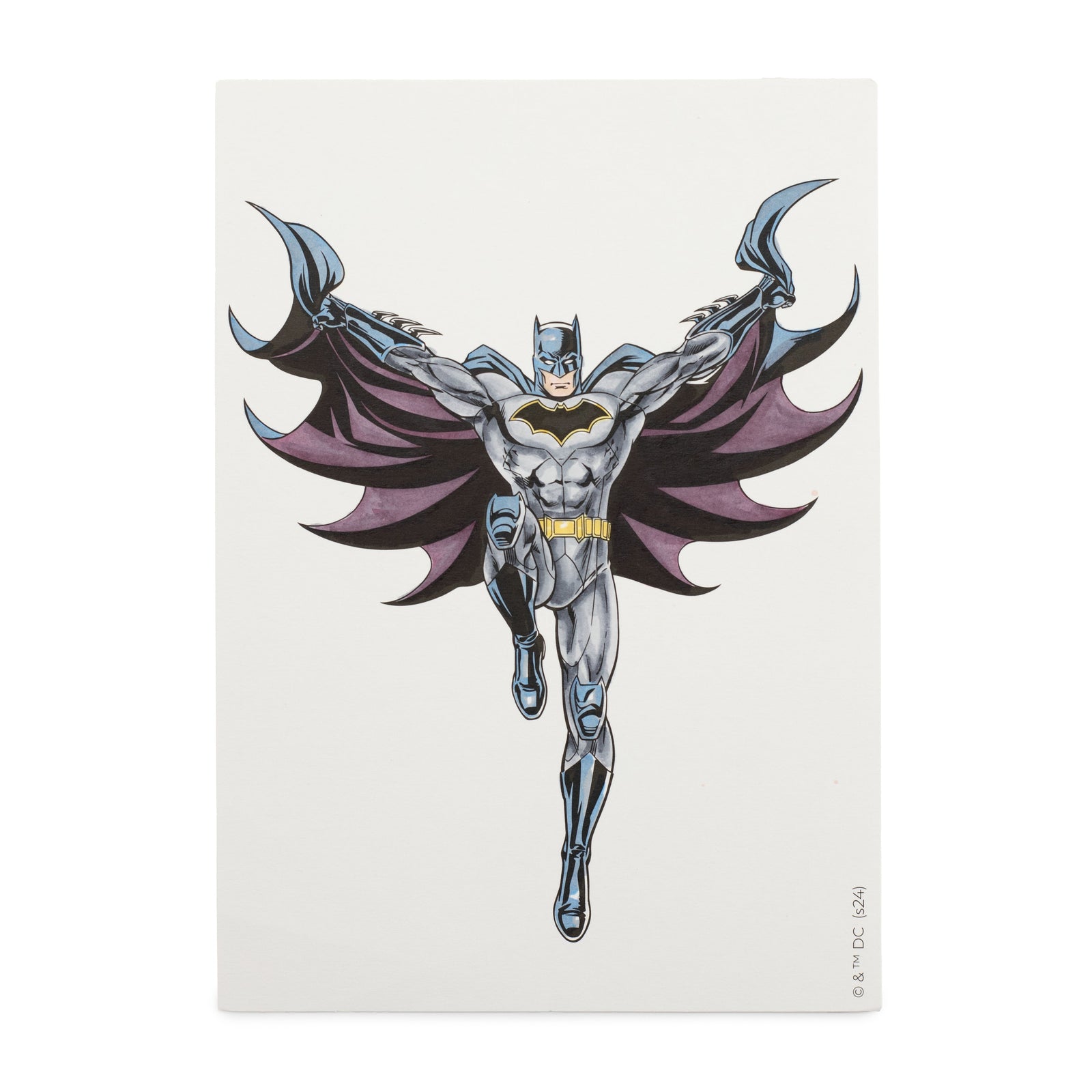 Batman Pro Fan Art Colouring Kit - Spectrum Noir