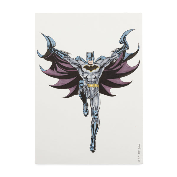 Batman Pro Fan Art Colouring Kit - Spectrum Noir