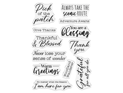 Nature's Garden - Thankful & Blessed Photopolymer Stamp - Be Grateful