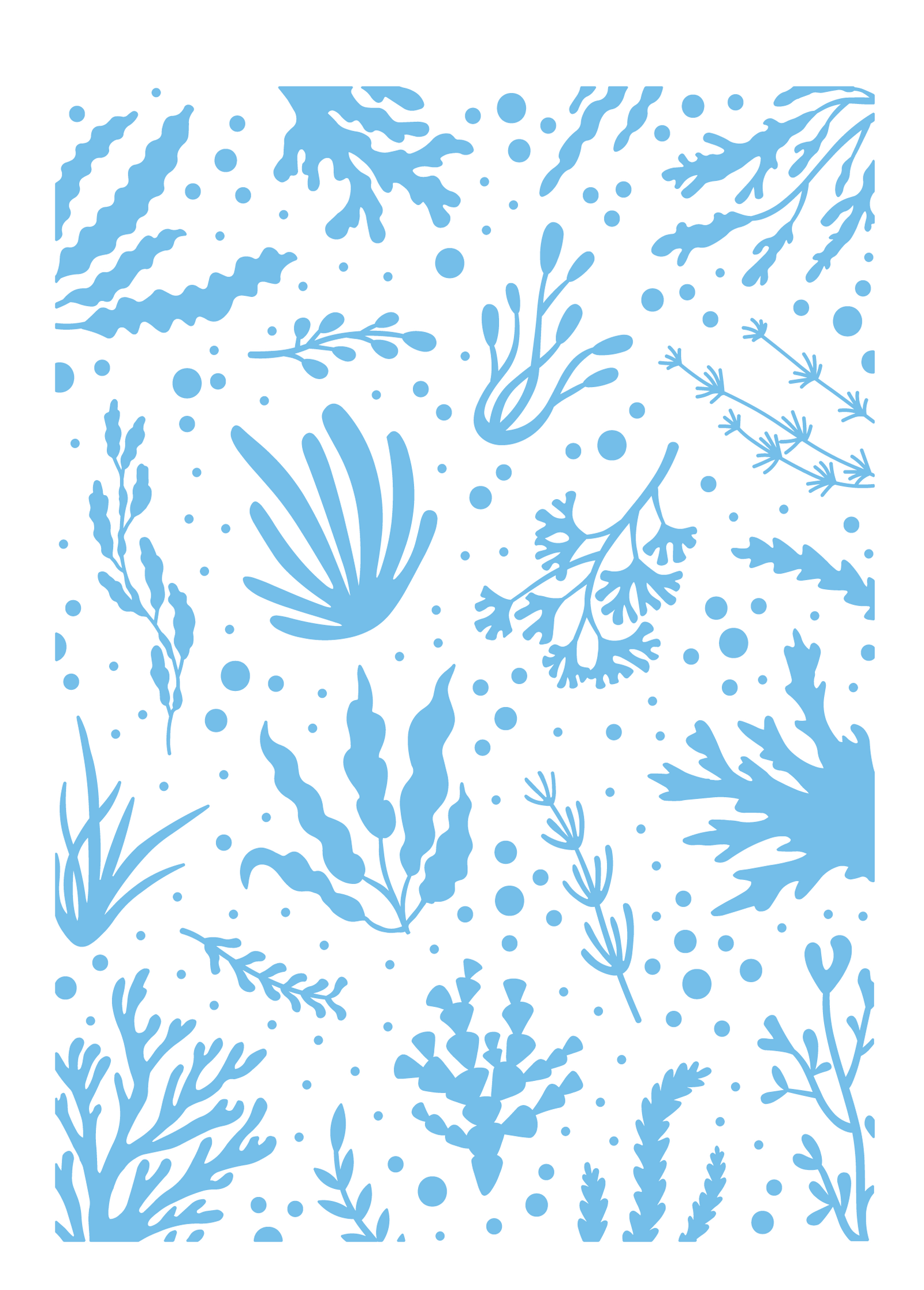 Sara Signature - Enchanted Ocean - 2D Embossing Folder - 5"x7" - Charming Coral