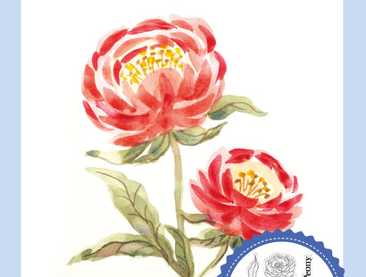 Sheena Douglass Watercolour Fusion Photopolymer Stamp - Perfect Peony