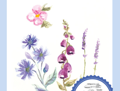 Sheena Douglass Watercolour Fusion Photopolymer Stamp - Wildflower Trio