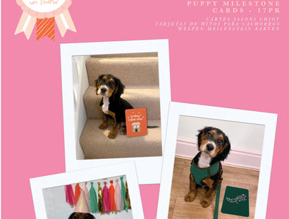 Violet Studio Best In Show Puppy Milestone Cards