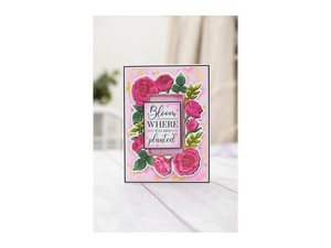 Gemini Embossed Frames Embossing Folder, Die & Stamp Set – Blooming Roses