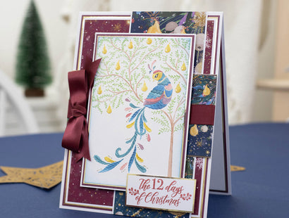 Twelve Days of Christmas 2D Embossing Folder - Partridge in a Pear Tree