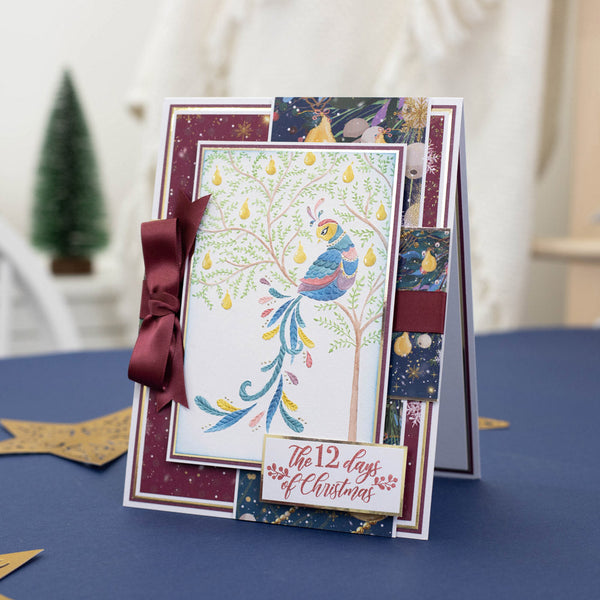 Twelve Days of Christmas 2D Embossing Folder - Partridge in a Pear Tree